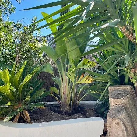 61 Boulouris Apartmán Saint-Raphaël